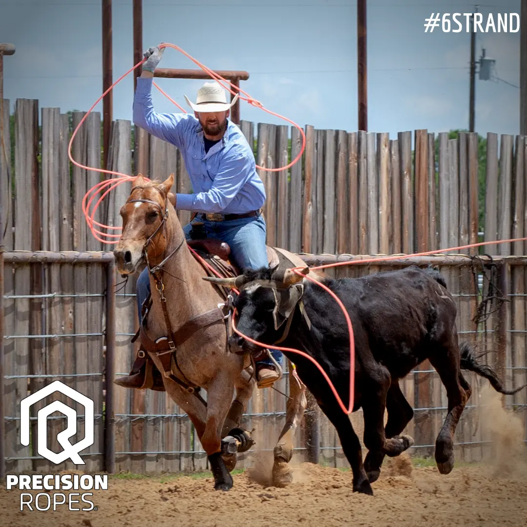 Prova de team roping na arena