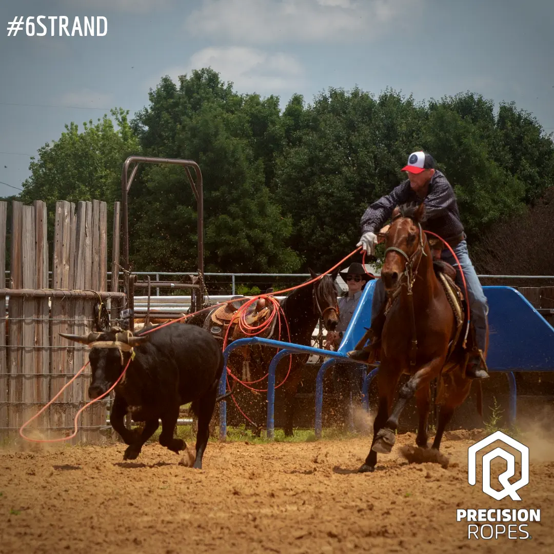 Prova de team roping na arena