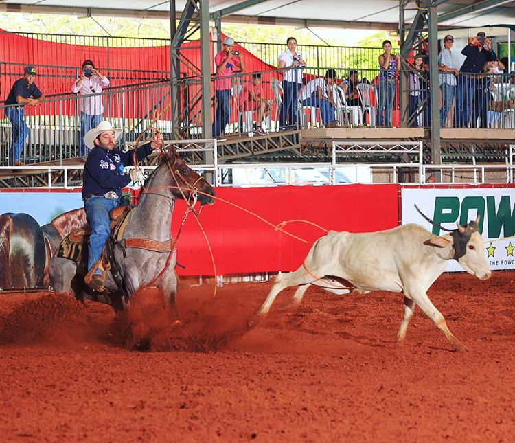 Miguel Zambon a cavalo em prova de laço em arena